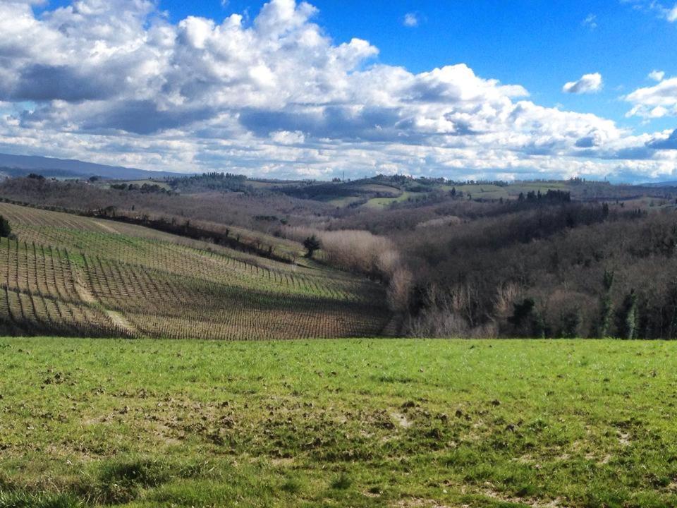 Agriturismo il Torrione Lecchi Esterno foto
