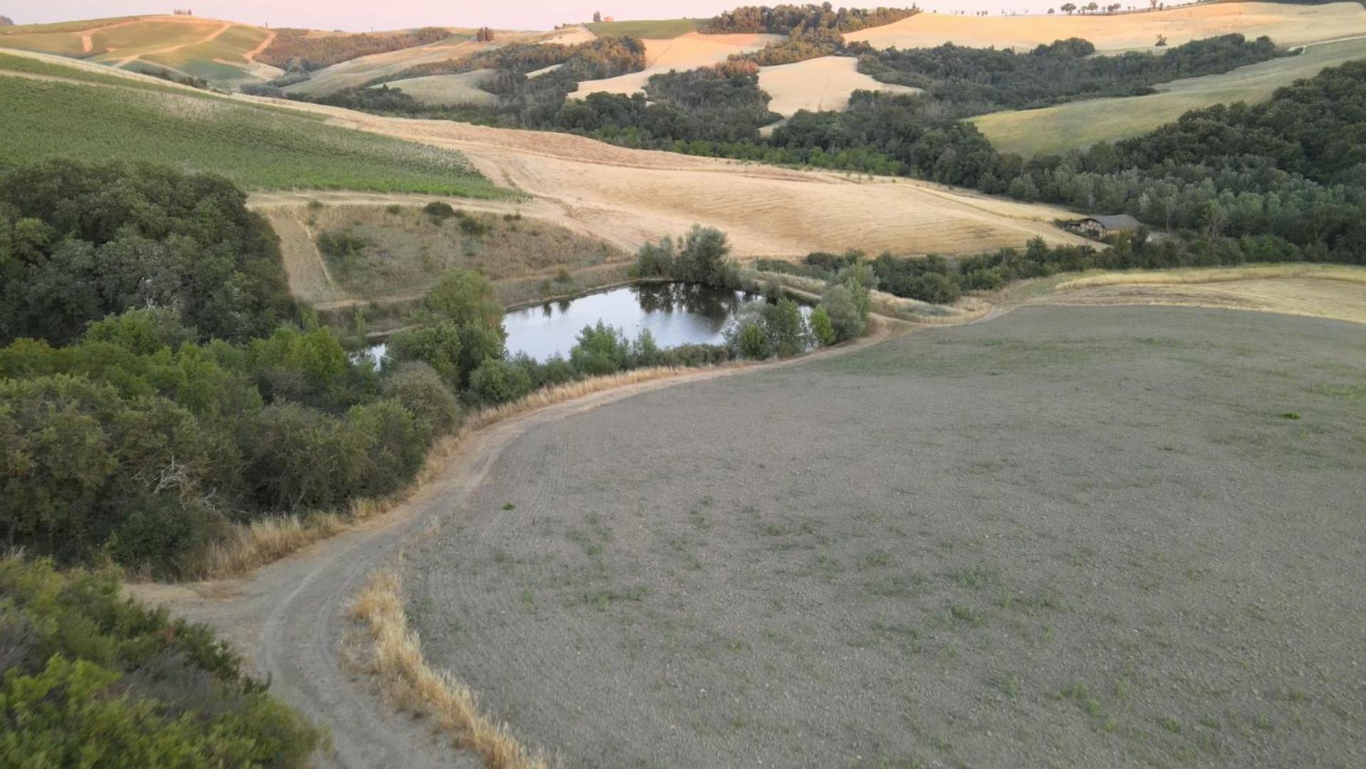 Agriturismo il Torrione Lecchi Esterno foto
